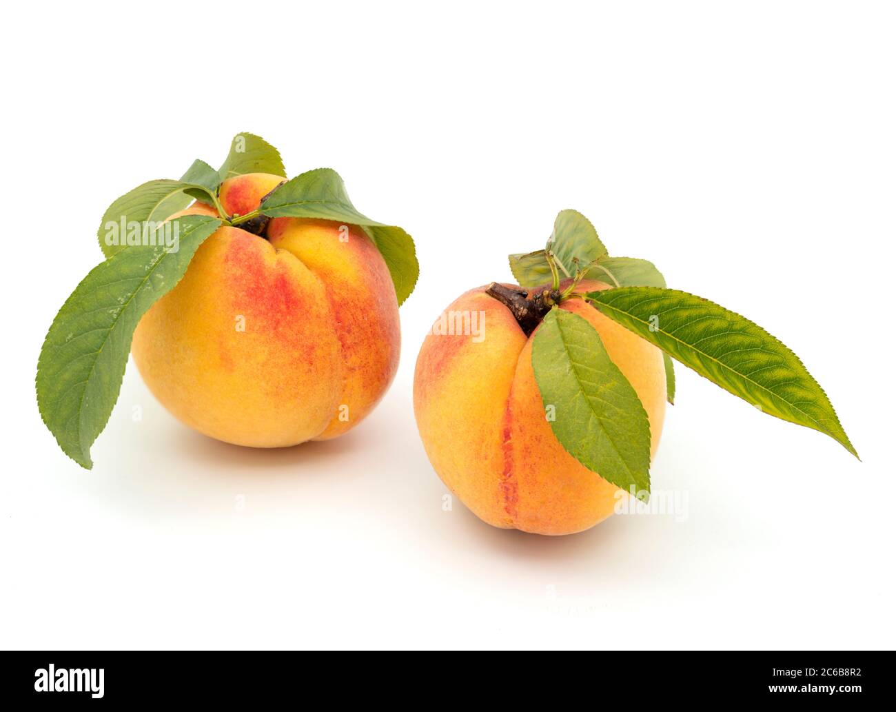 Zwei Pfirsiche mit Blättern isoliert auf weißem Hintergrund Stockfoto