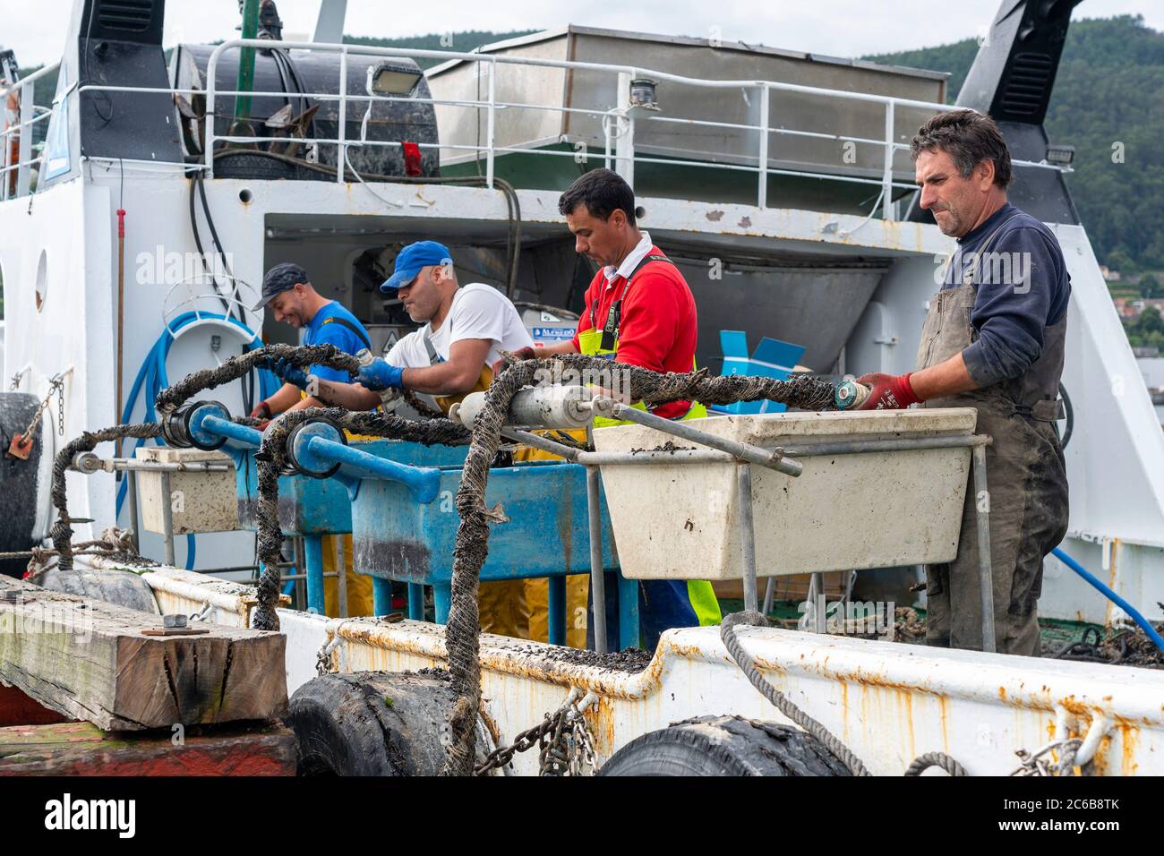Fischer, die auf einem Boot arbeiten, um Muscheln auf ein Muschelfloßbatea in Redondela, Galicien, Spanien, Europa zu bringen Stockfoto