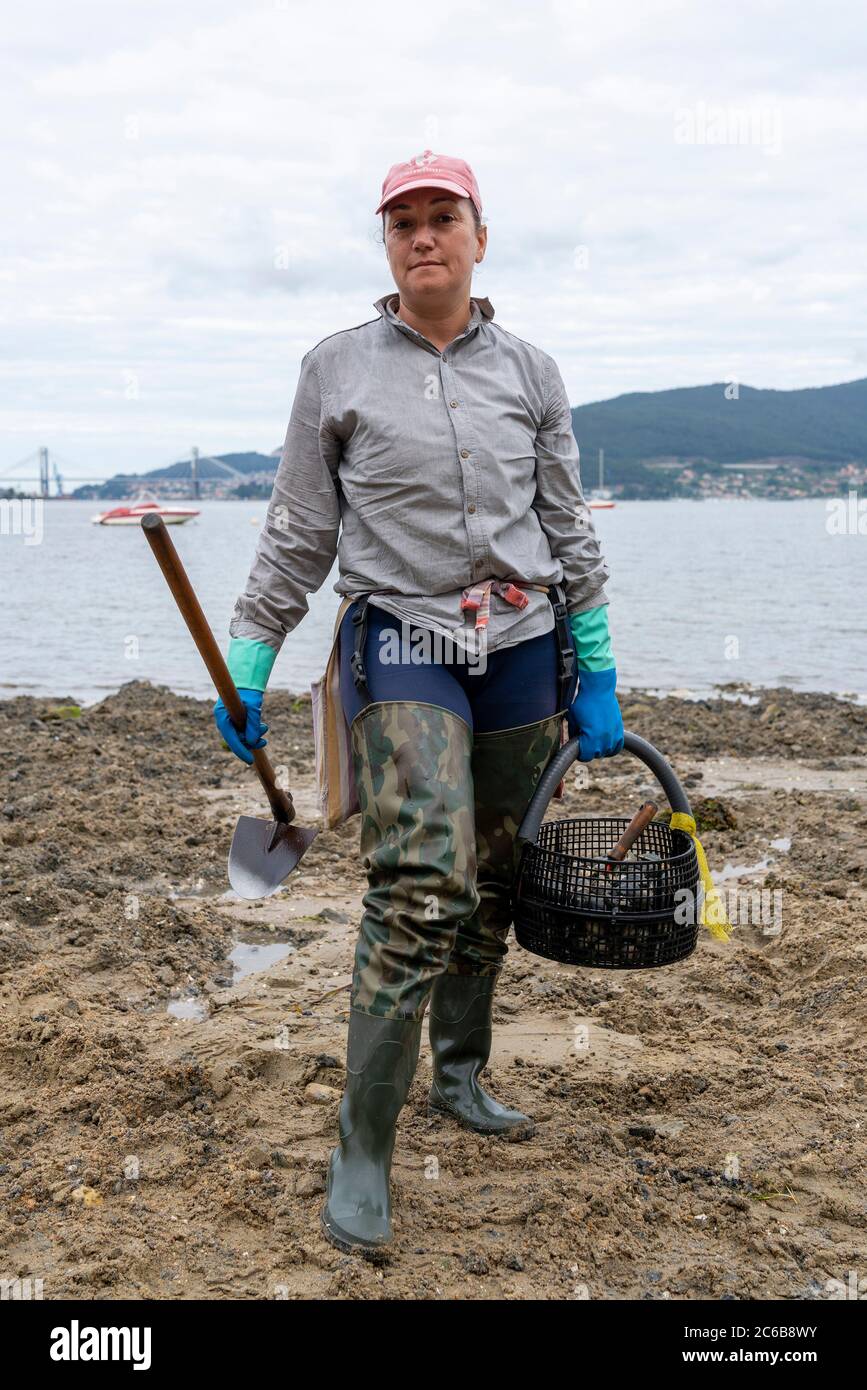 Frauen sammeln Muscheln bei Ebbe an einem Strand in Redondela, Pontevedra, Galicien, Spanien, Europa Stockfoto