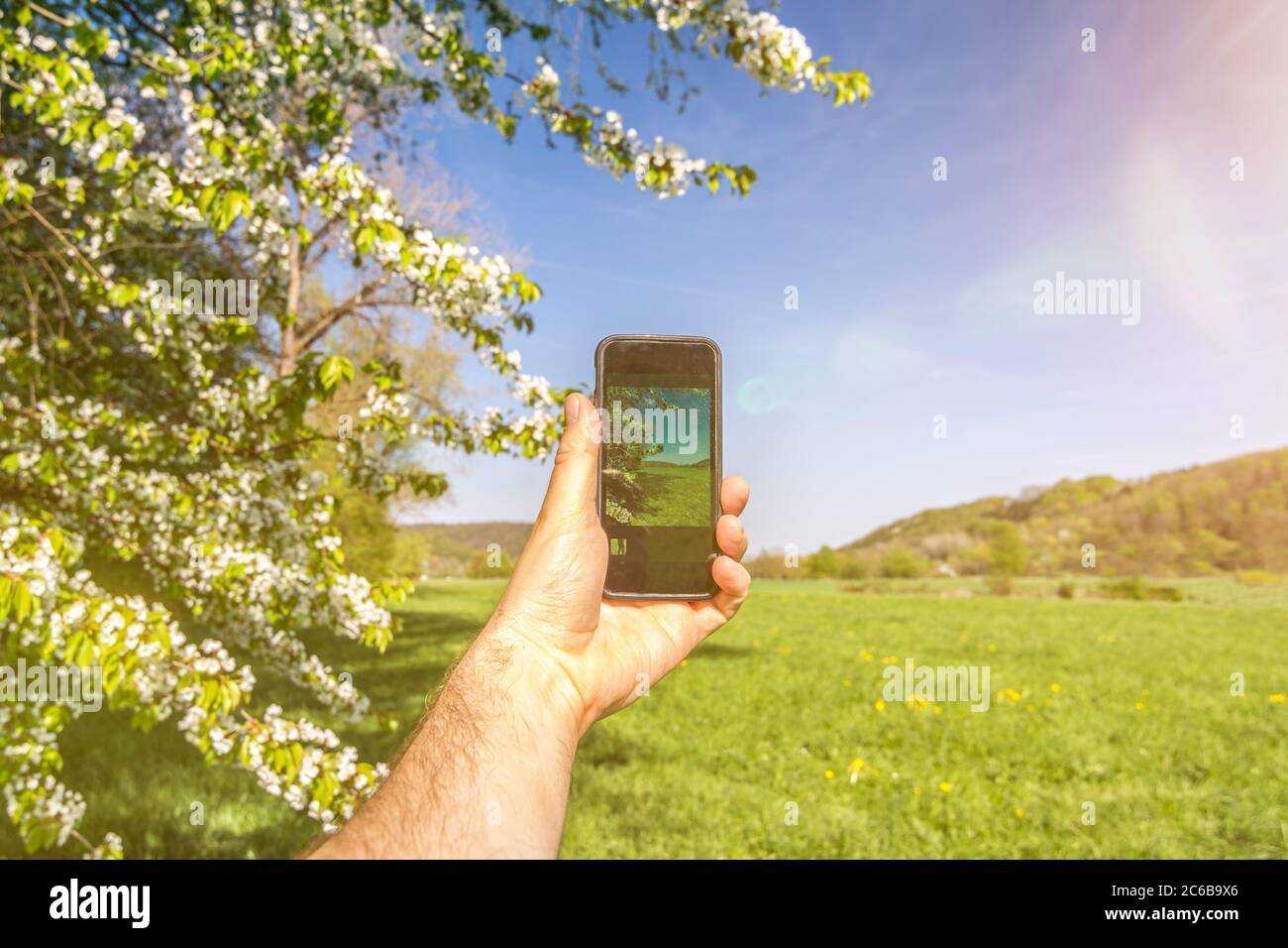 Fotografieren mit dem Smartphone in ländlicher Landschaft im Frühjahr Stockfoto