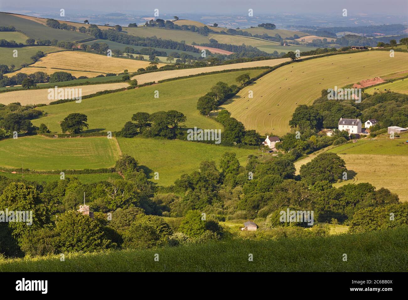 Landwirtschaftliche Landschaft in der Mitte von Devon im Frühsommer, von der prähistorischen Cadbury Castle, in der Nähe von Tiverton, Devon, England, Großbritannien, Europa Stockfoto