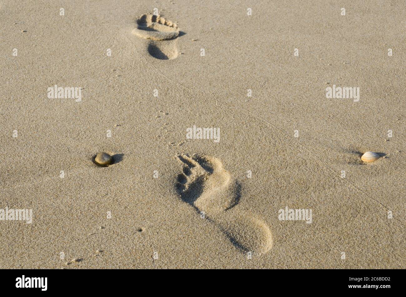 Spuren im Sand am Strand Stockfoto
