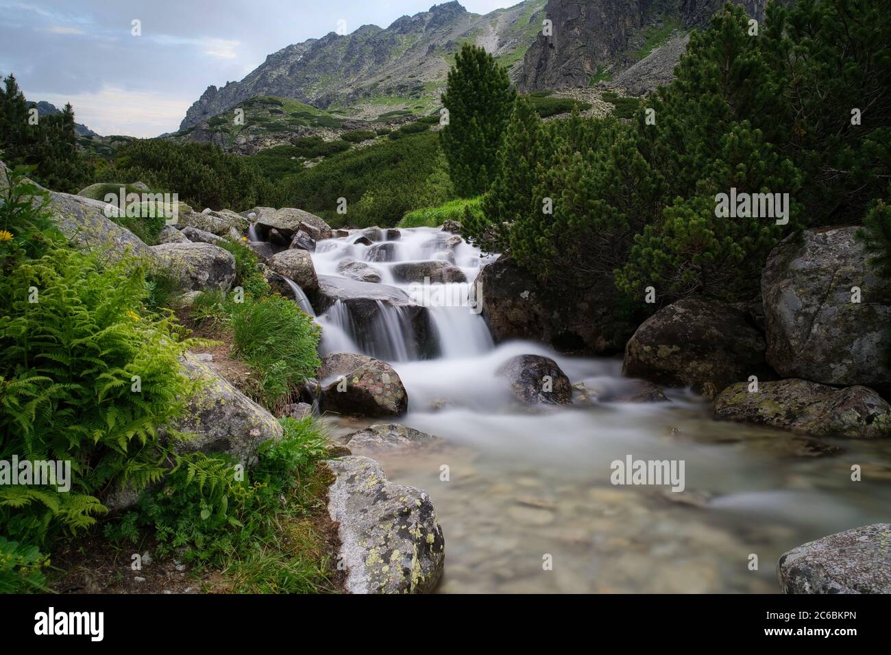 Mlynica Fluss in Mlynicka Tal, hohe Tatra, Slowakei Stockfoto