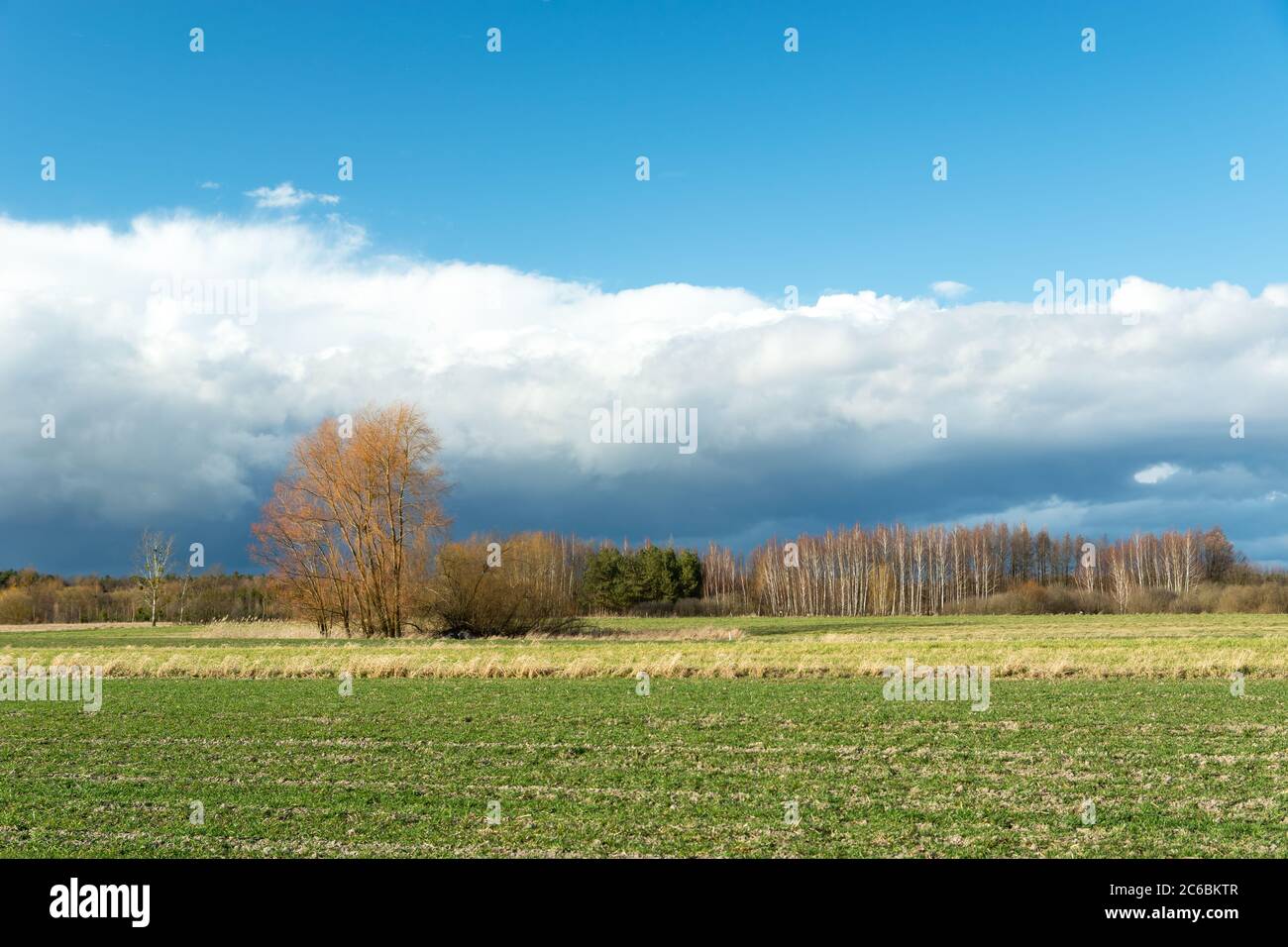 Wunderbare Wolke am blauen Himmel, bunte Bäume und grünes Feld, sonnige Frühlingsblick Stockfoto