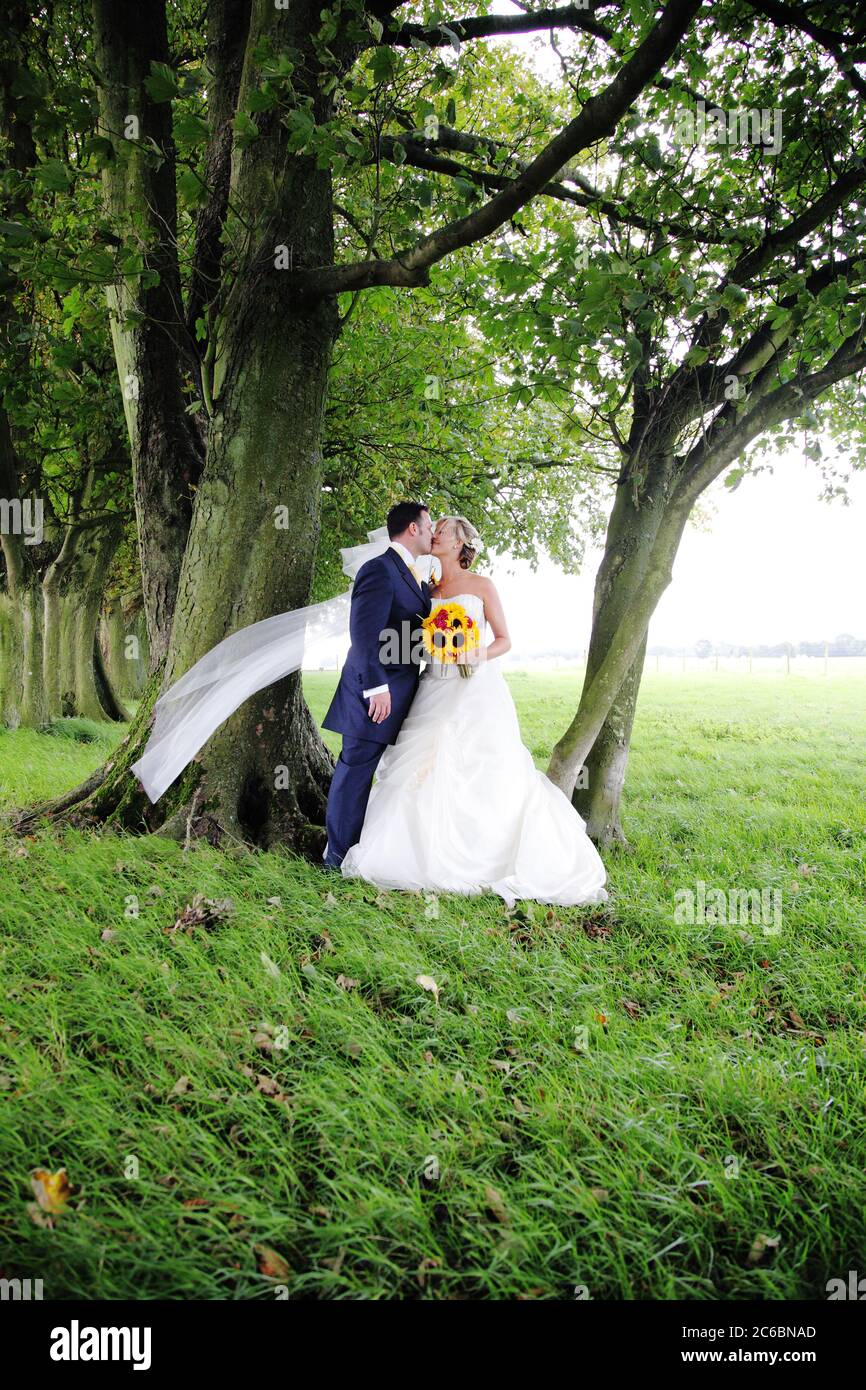 Braut und Bräutigam in Kent Landschaft. Paar, dreißiger, küssen, während die Braut einen Blumenstrauß von Sonnenblumen hält und ihr Schleier im Wind weht. Bräutigam im blauen Anzug. Stockfoto