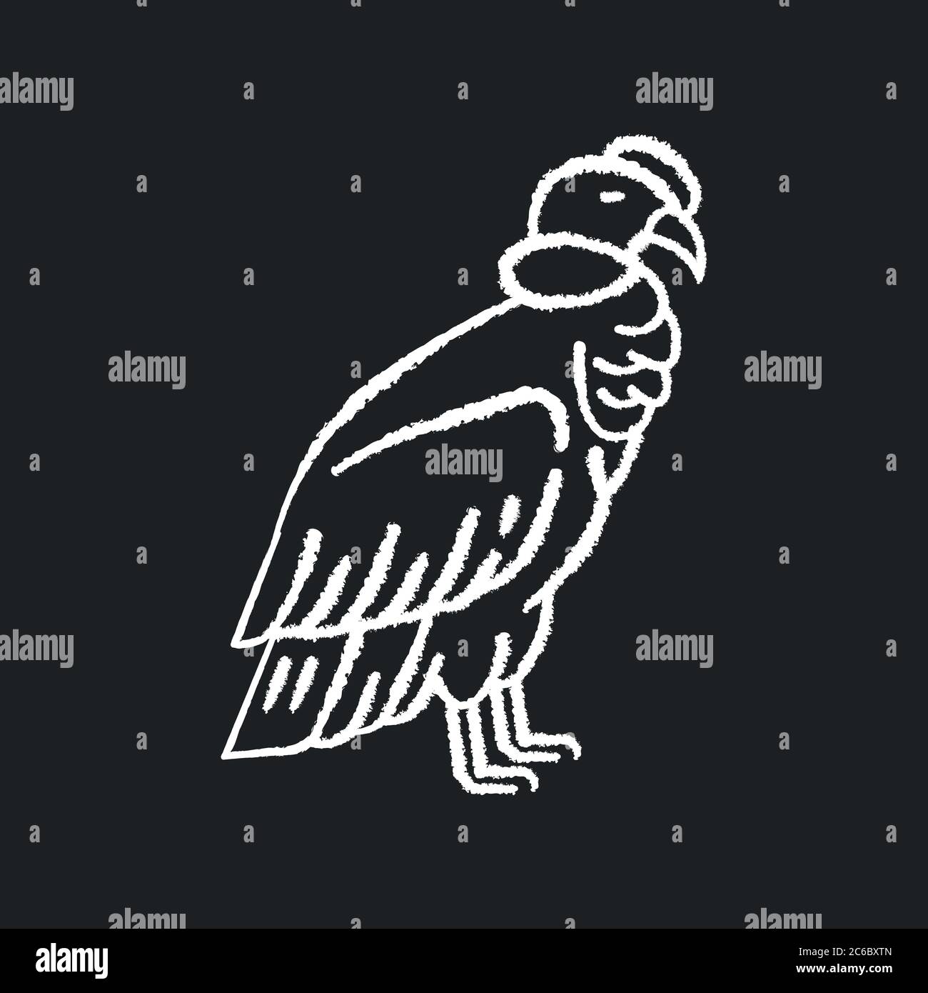 Weißes Symbol für Condor-Kreide auf schwarzem Hintergrund. Großer Vogel mit scharfem Schnabel und Krallen. Neue Weltengeier, Raubvogel. Zoologie, Ornithologie. Andenländer Stock Vektor