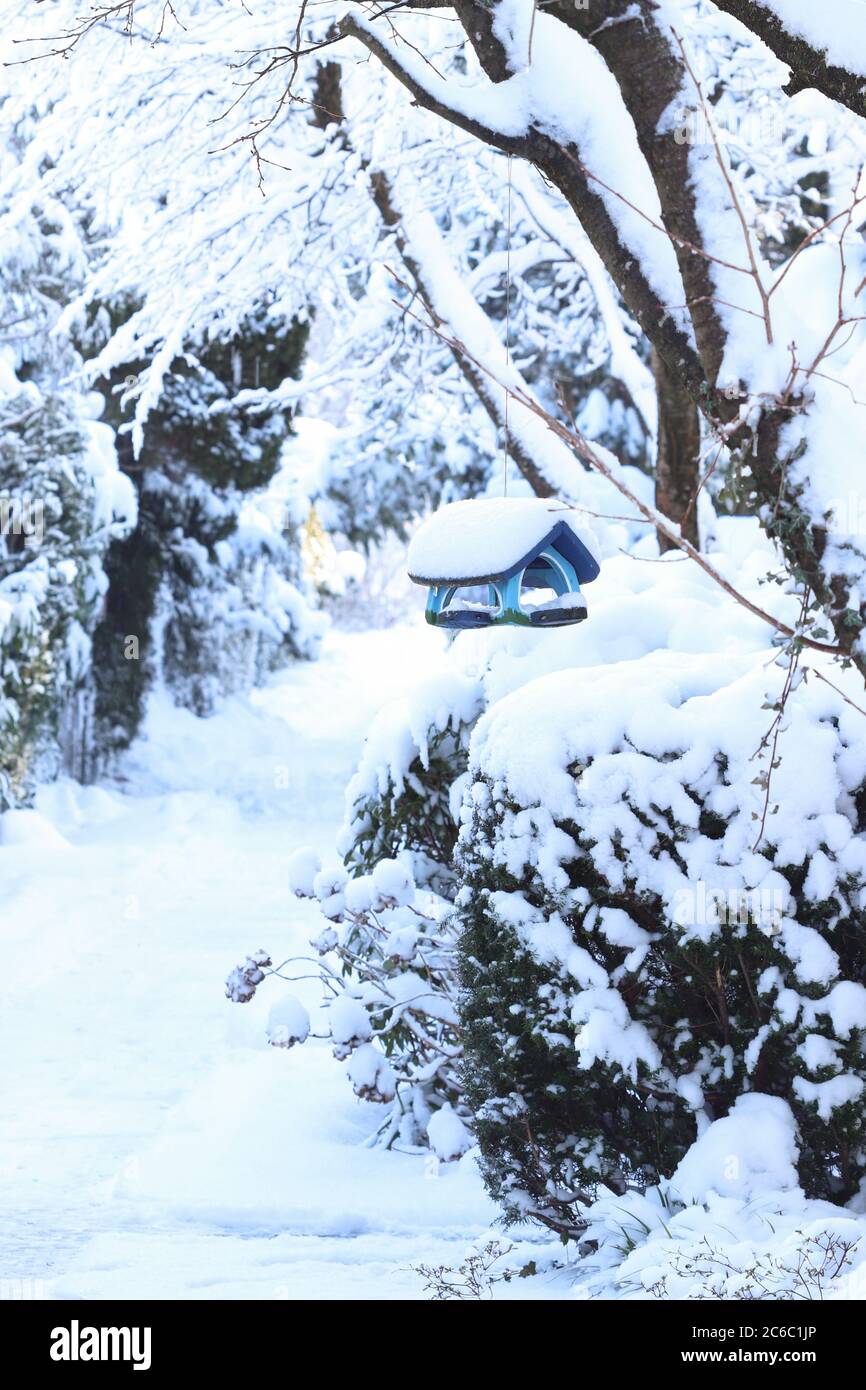Wintergarten mit Schnee und Vogelhaus Stockfoto