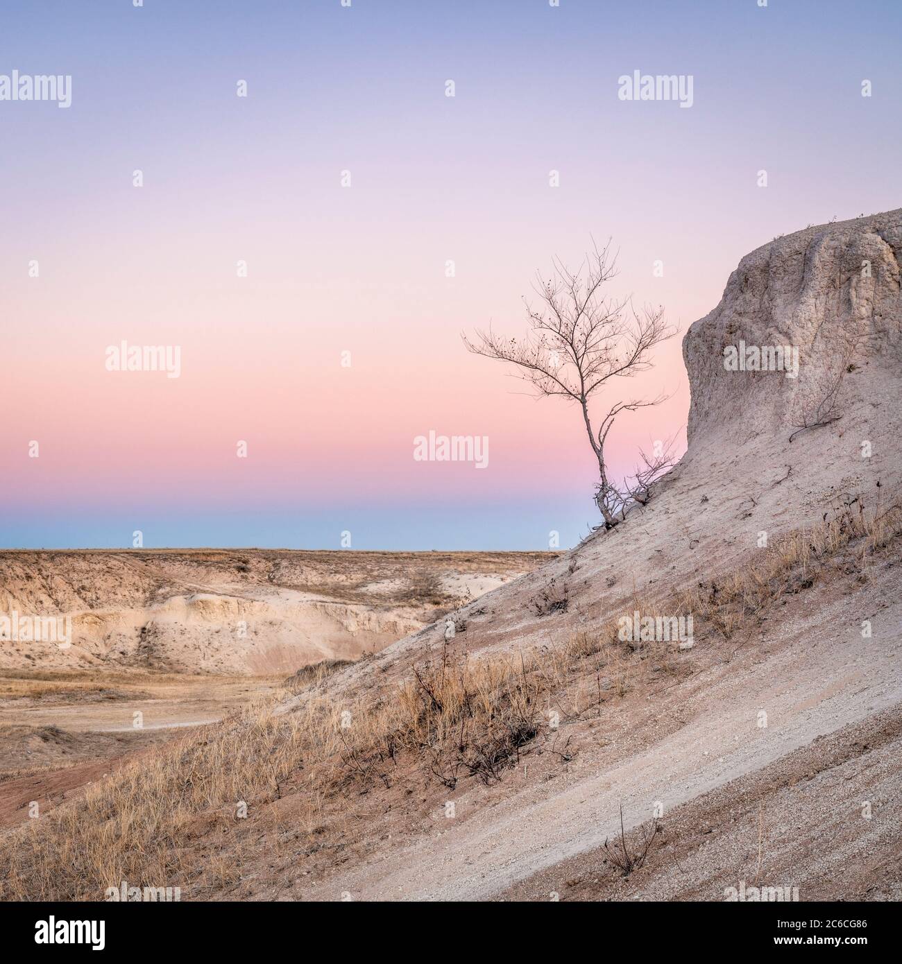 Winterdämmerung über Prärie und Badlands im Pawnee National Grassland mit einem einsamen Baum Stockfoto