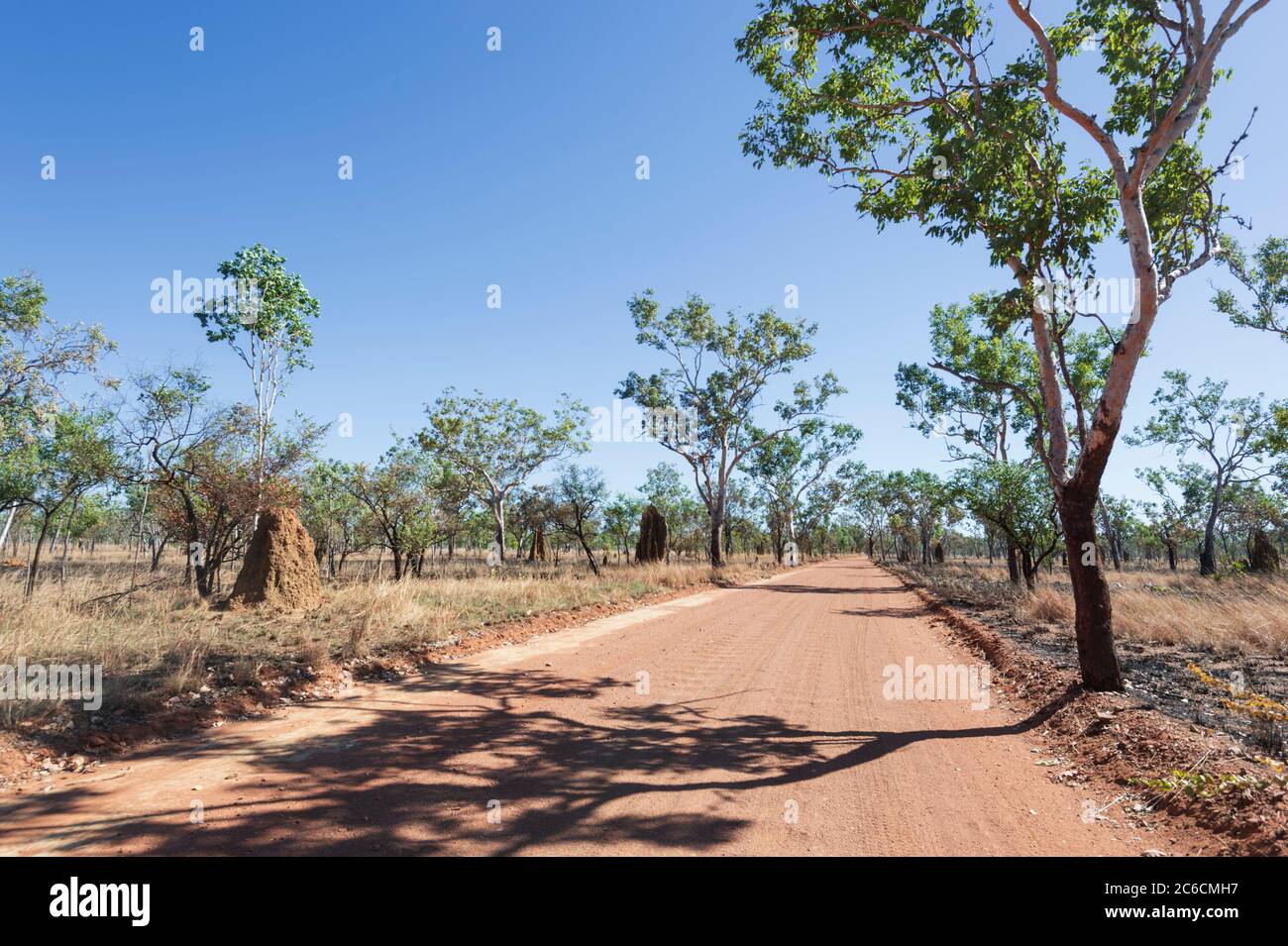 Rote Feldstraße, die nach Maguk (Barramundi Gorge) durch die Savanne, den Kakadu National Park, Northern Territory, NT, Australien führt Stockfoto