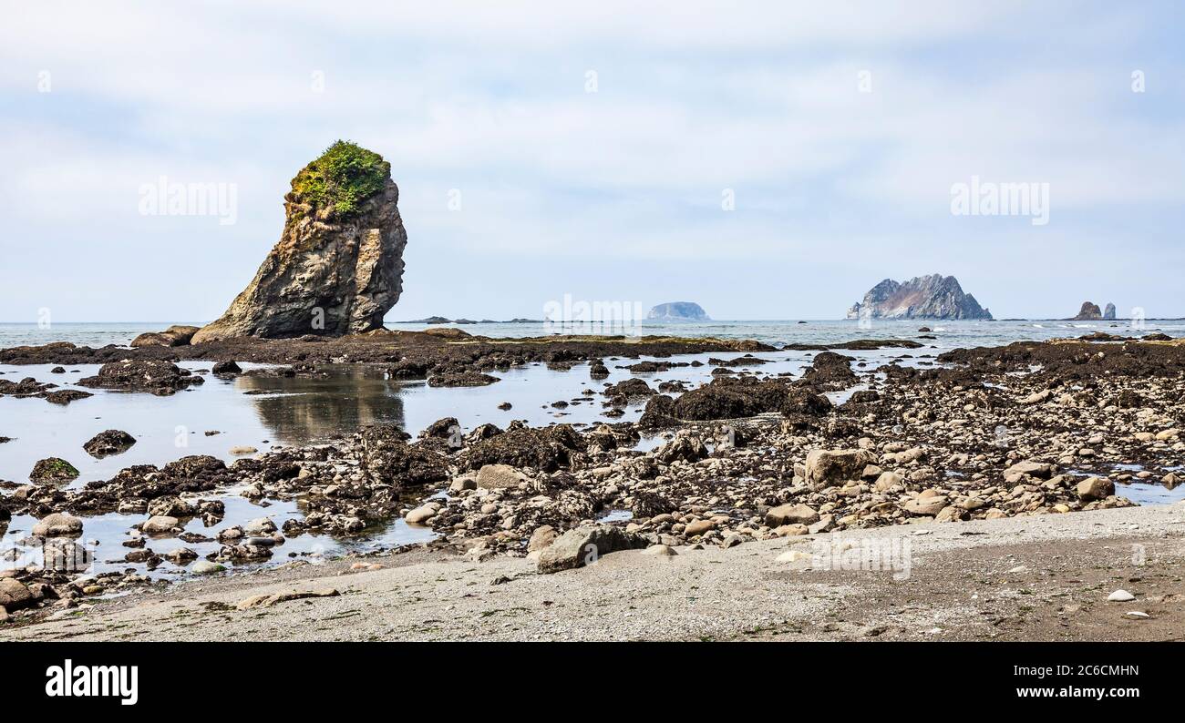 Die zerklüftete Küste und Gezeitenbecken des Küstenstreifens des Olympic National Park und des Olympic National Marine Sanctuary, Washington State, USA. Stockfoto