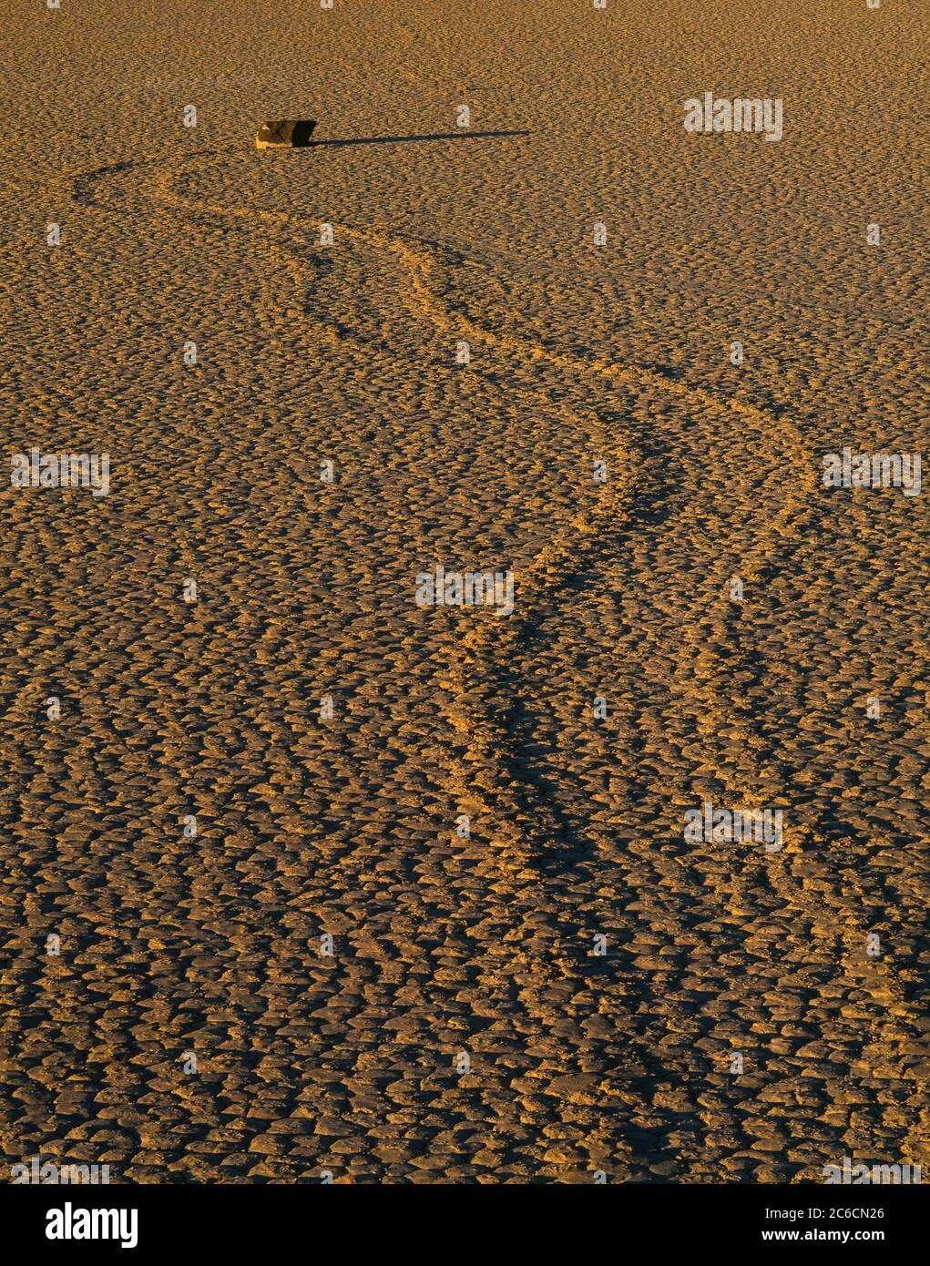 Death Valley National Monument CA / FEB EIN wettergeweckter Fels streichelt eine gewundene Mulde auf dem Schlammboden der Rennstrecke. Stockfoto