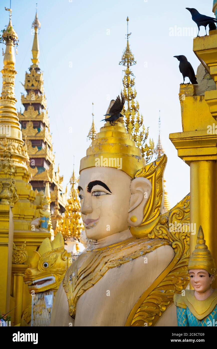 Eine Nahaufnahme von vergoldeten Schnitzereien an der Shwedagon Pagode in Yangon, Myanmar Stockfoto