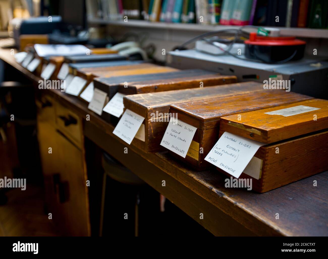 Botanik und Natur. Botanisches Lernen und Lehren. Pflanzen, Wissenschaft, Proben, Konservierung, Kurator, Glas-Dias, fotografische Platten, Reinigung Stockfoto