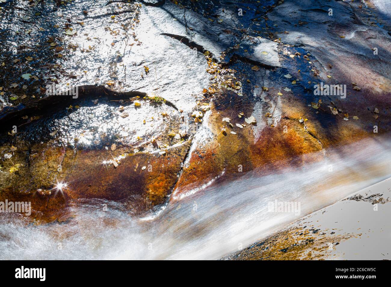 Wasser rauscht an gefallenen Blättern an diesem Granithang in Ash Creek, Pinaleno Mountains, Arizona vorbei. Stockfoto