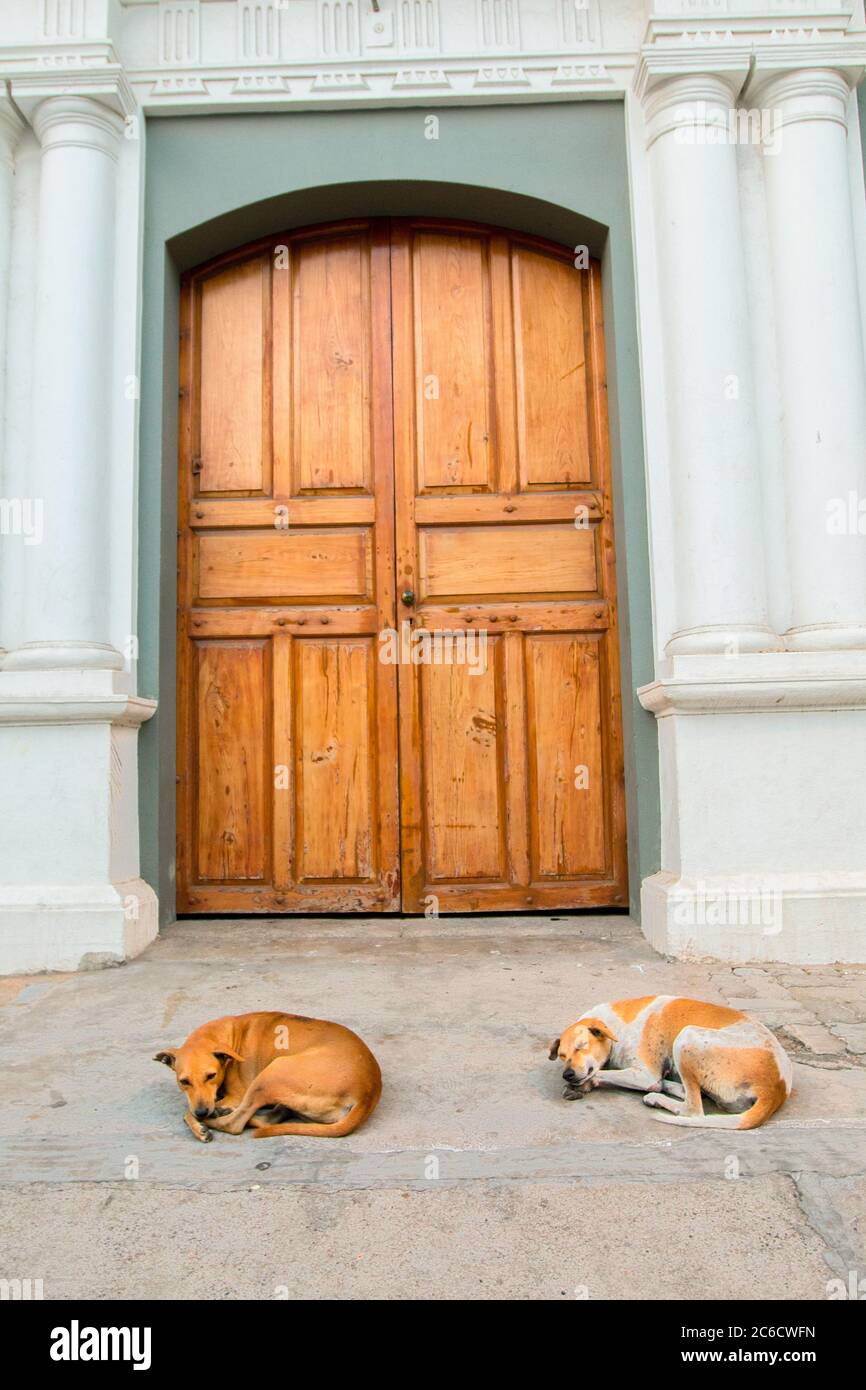 Arulmigu Manakula Vinayagar Tempel, pondicherry, südindien, pondy, pondicherry Reise, Strand pondicherry, Straße pondicherry, Straße Stockfoto