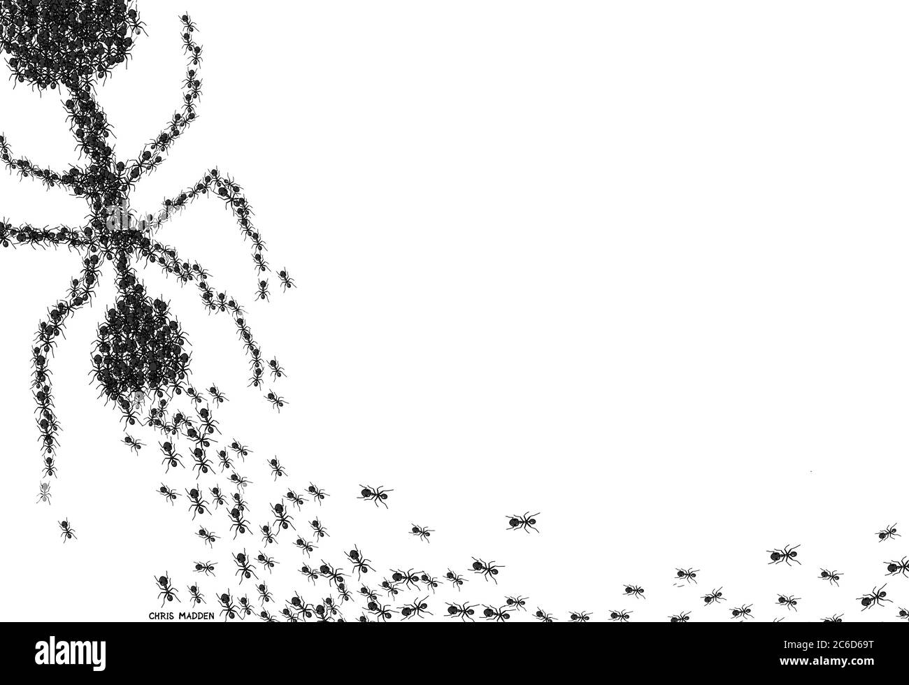Ameisen als Überorganismus Stockfoto