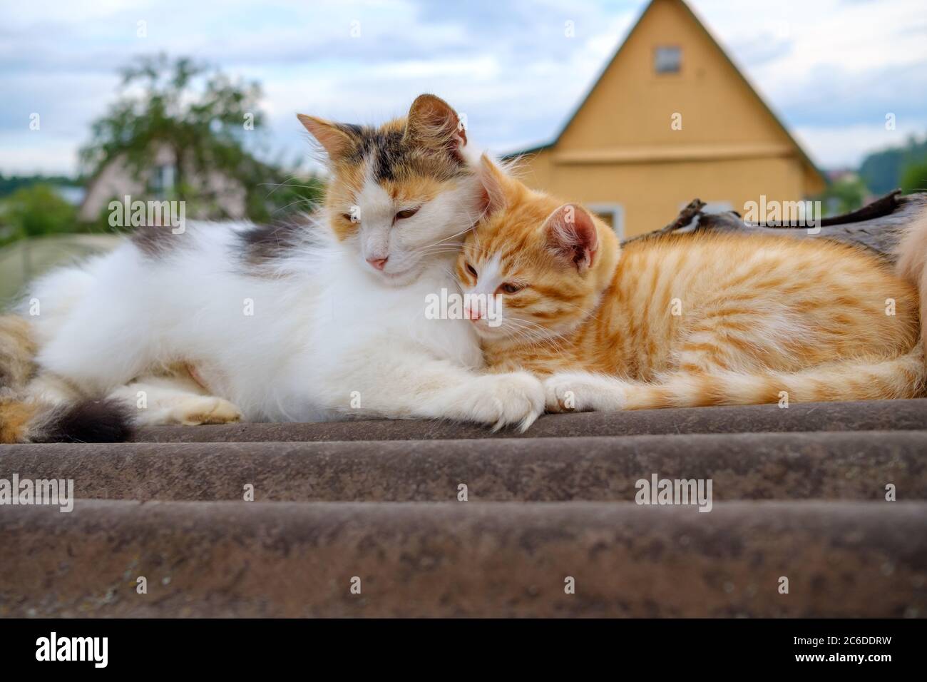 beziehungen stockfotos und bilder kaufen alamy