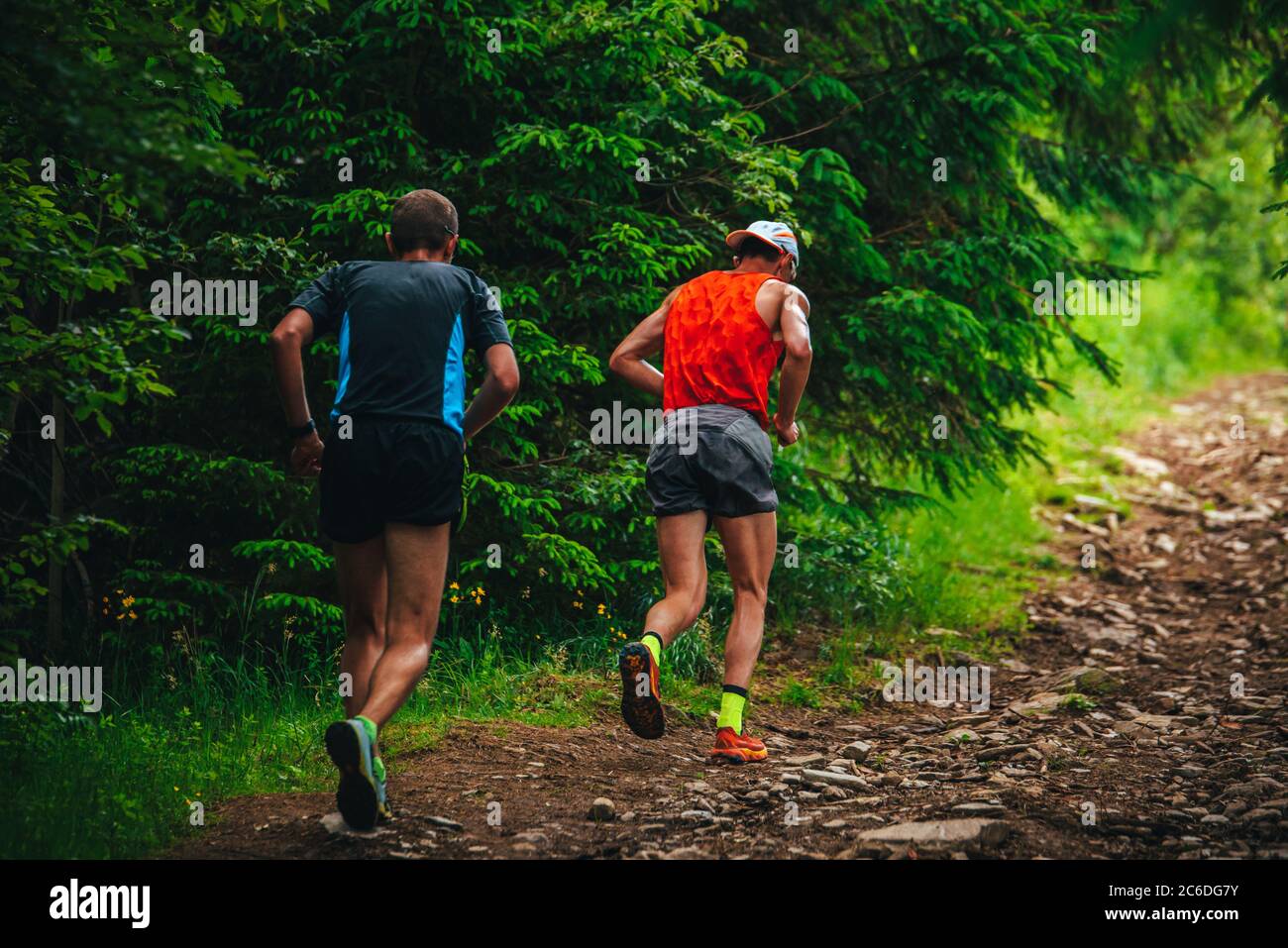 Trailrunner beim Vertikalrennen im grünen Wald. Stockfoto