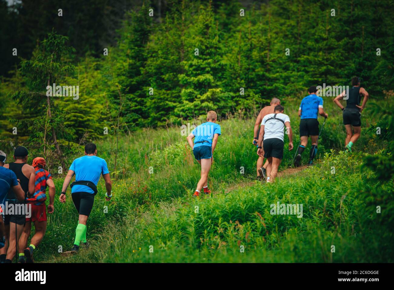 Trail Running Rennen, Athleten laufen im Wald. Bergauf vertikales Rennen. Stockfoto