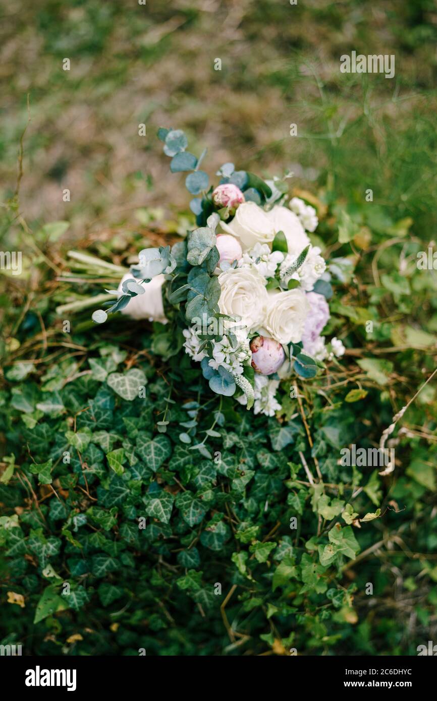 brautstrau aus rosa und weien Pfingstrosen, Rosen, ste von  Eukalyptus-Baum, veronica, Matthiola und weien Bndern auf Efeu Dickicht  Stockfotografie - Alamy