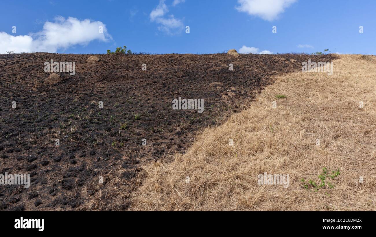 Feuer verbranntes Gras Böschung Hügel mit halb verbranntem und halb trockenem Gras kontrastiert mit blauen Himmel Wolken eine abstrakte Panoramalandschaft. Stockfoto