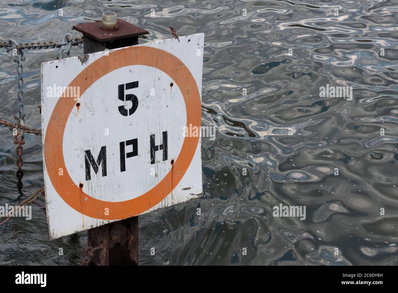 Dock-Schild mit einer Boot-Geschwindigkeitsbegrenzung von fünf Meilen pro Stunde mit einem Vogel auf der Spitze, im East River oder Harlem River Stockfoto