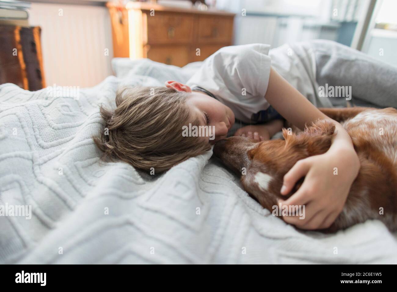 Niedlicher Junge kuschelt Hund auf dem Bett Stockfoto