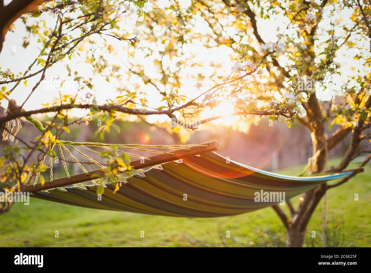 Hängematte in sonnigen ruhigen Garten Stockfoto