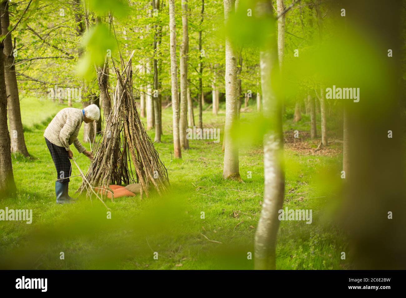 Ältere Frau macht Ast Tipi im Wald Stockfoto