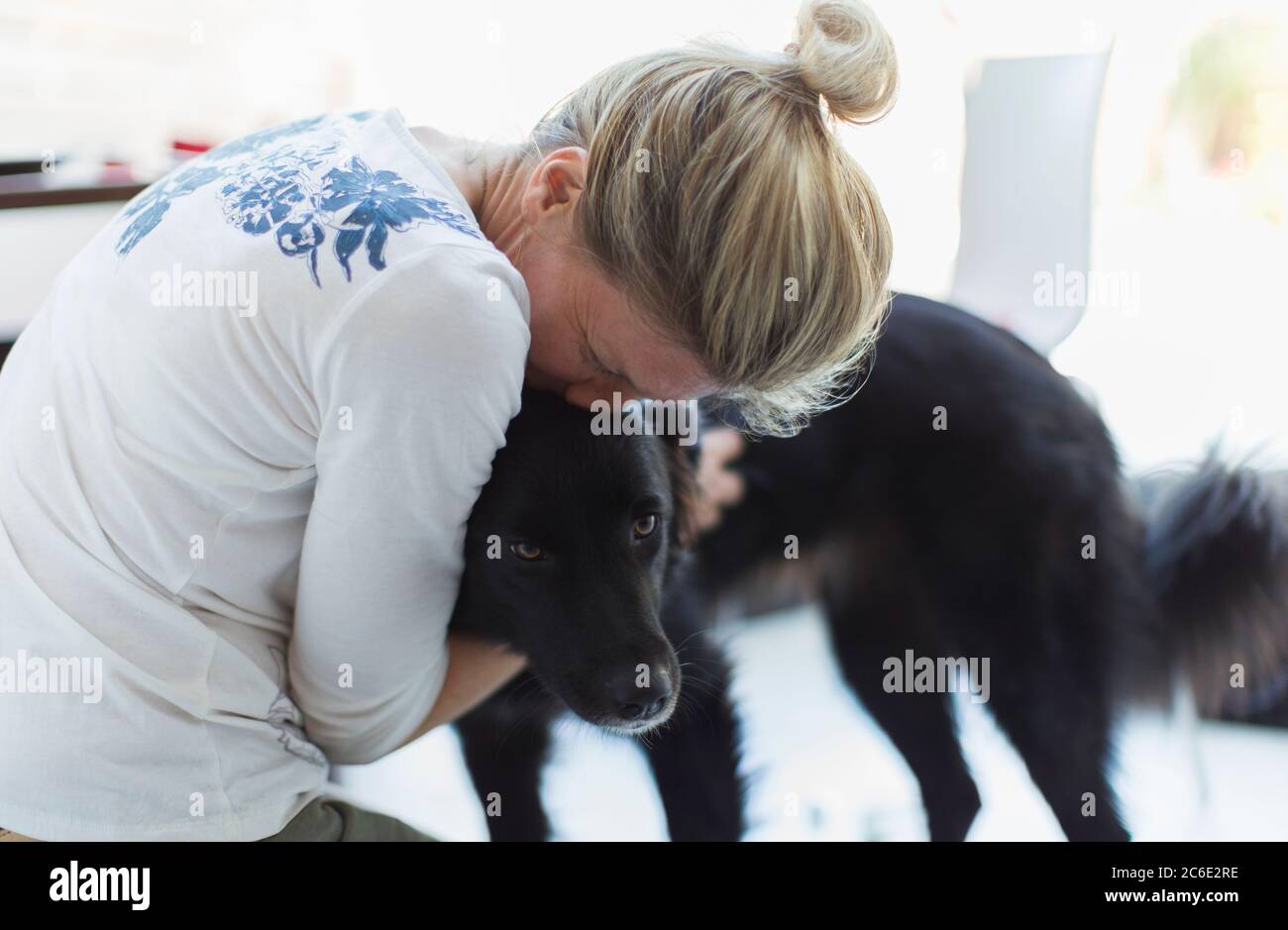 Liebevolle Frau umarmenden Hund Stockfoto