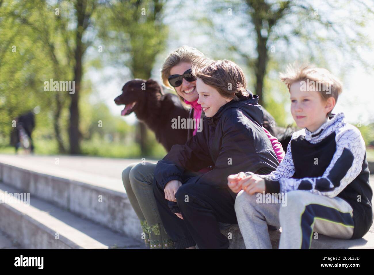 Glückliche Mutter und Söhne mit Hund im sonnigen Park Stockfoto