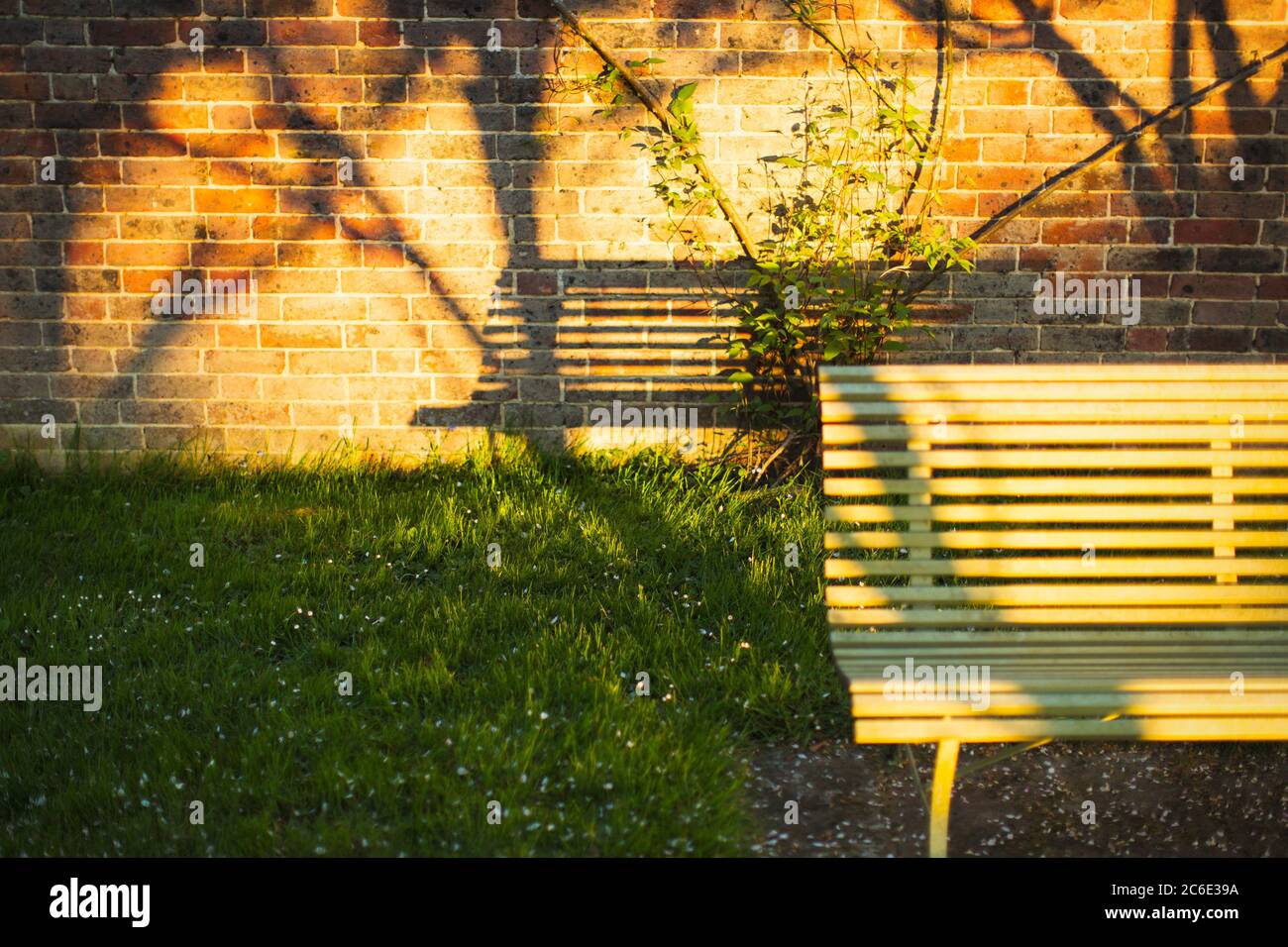 Schatten der Bank auf Ziegelwand im sonnigen Garten Stockfoto