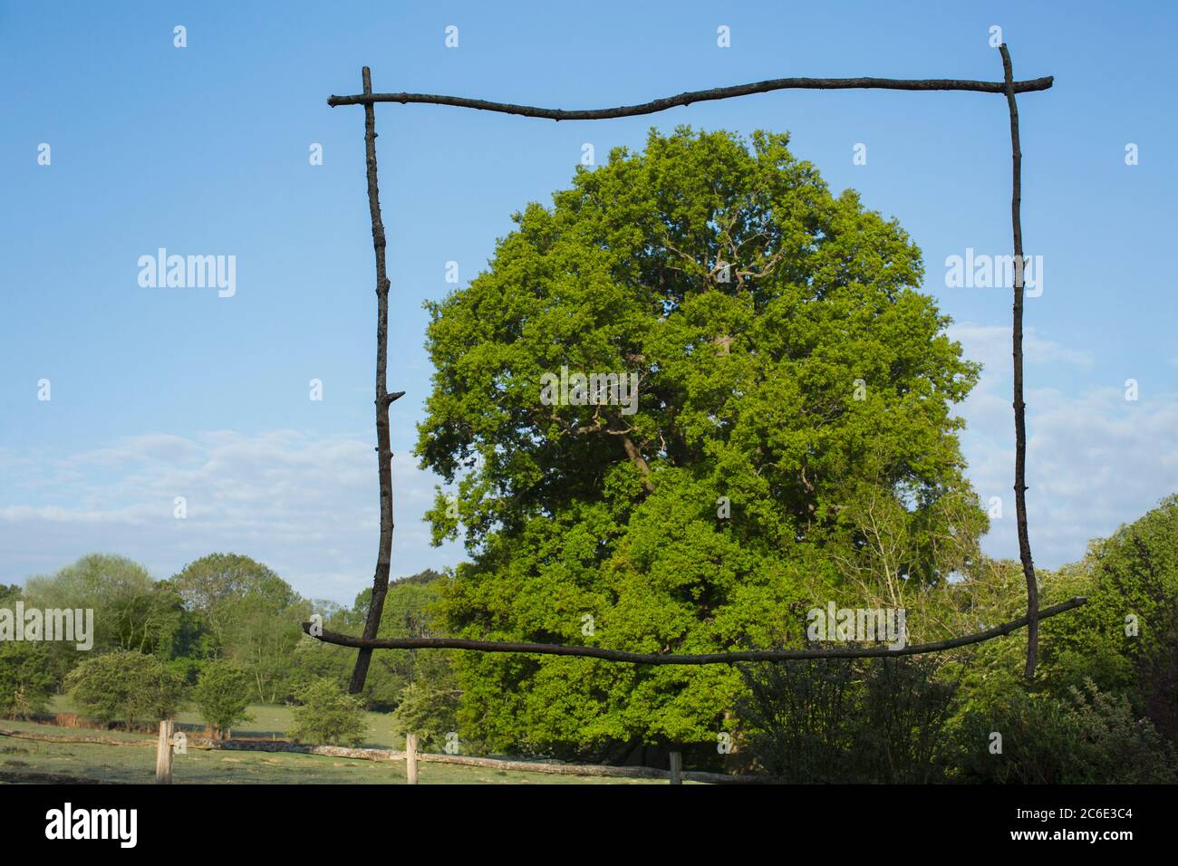 Holzstab Rahmen über sonnigen grünen Baum Stockfoto
