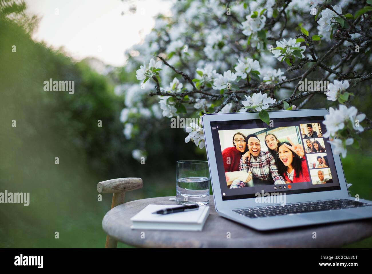 Glückliche Freunde Video-Chat auf Laptop-Bildschirm im Garten Stockfoto