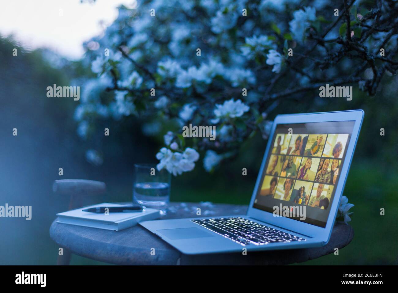 Freunde Video chatten auf Laptop-Bildschirm im Garten in der Dämmerung Stockfoto