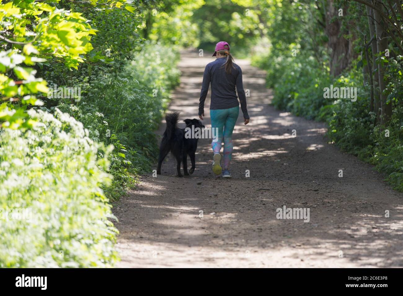 Frau, die mit Hund auf dem Weg geht Stockfoto