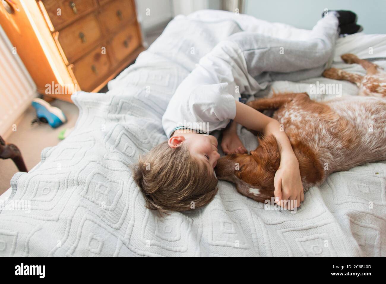 Liebevoll Junge kuscheligen Hund auf dem Bett Stockfoto