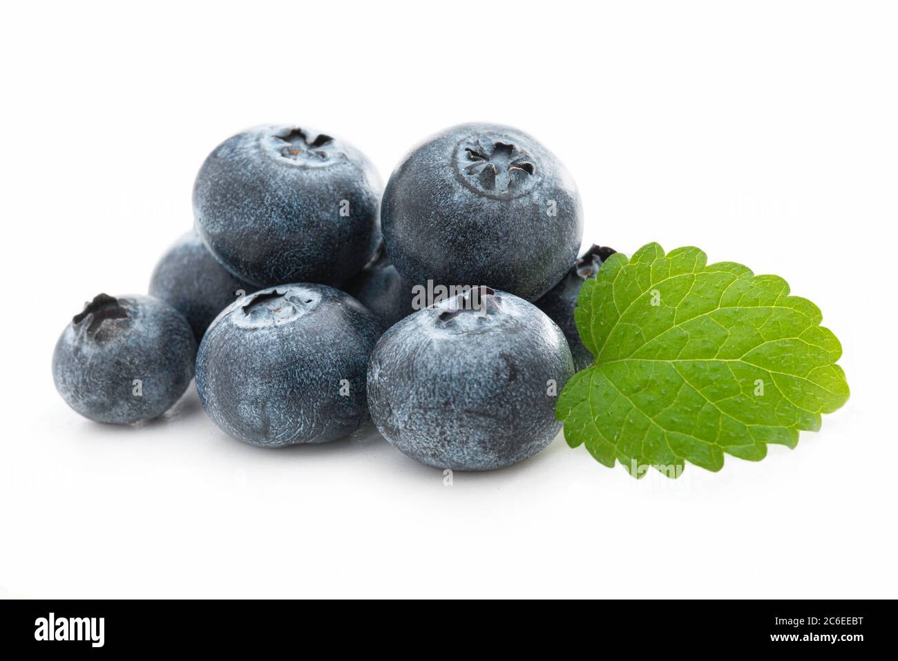 Frische Heidelbeeren und Zitronenmelisse isoliert gegen weißen Hintergrund Stockfoto