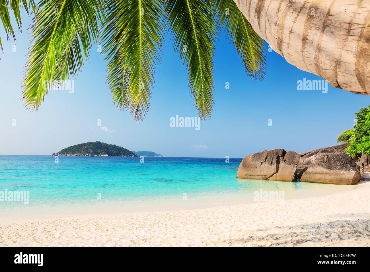 Kokospalmen gegen blauen Himmel und schönen Strand in Similan Insel, Thailand. Urlaub Urlaub Urlaub Hintergrund Wallpaper. Blick auf schöne tropische Ba Stockfoto