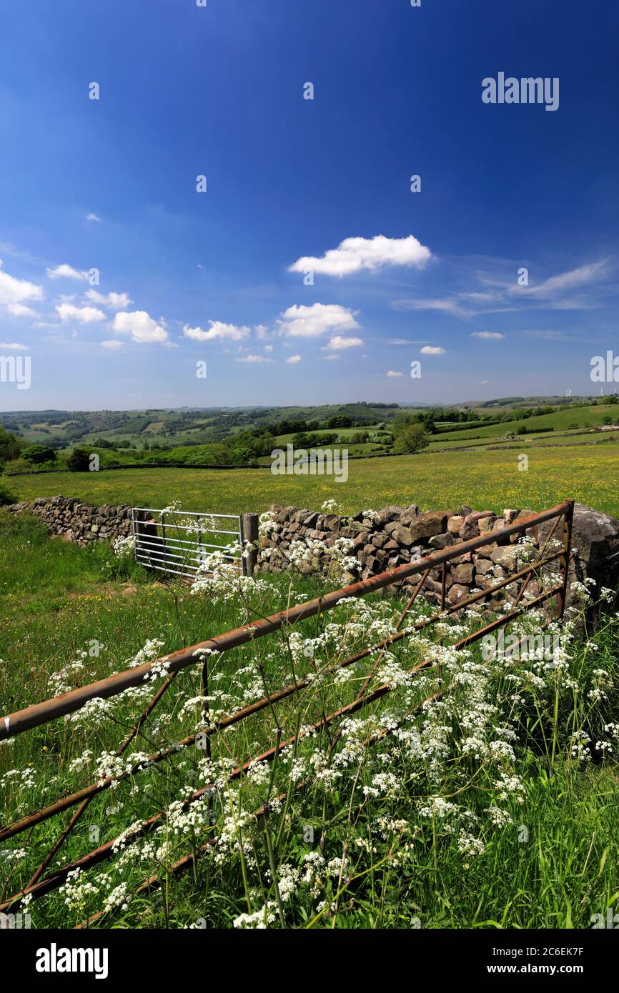 Sommerblick über das Amber Valley, Ambergate Town, Derbyshire, England, Großbritannien Stockfoto