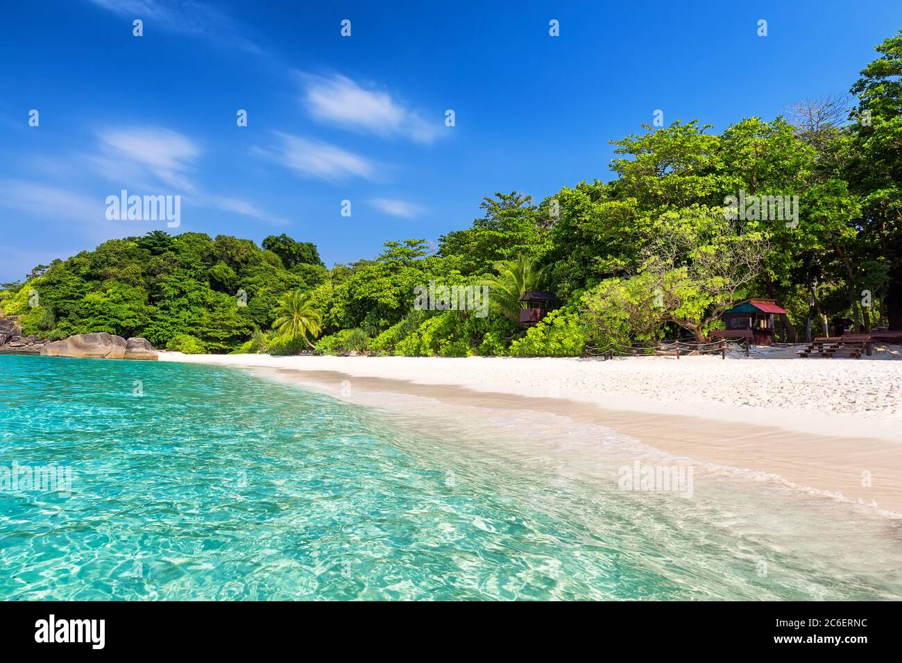 Kokospalmen gegen blauen Himmel und schönen Strand in Similan Insel, Thailand. Urlaub Urlaub Urlaub Hintergrund Wallpaper. Blick auf schöne tropische Ba Stockfoto