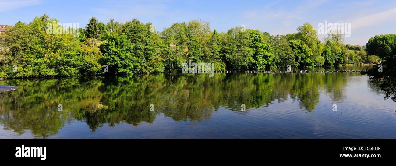 Blick auf den Frühling der River Gardens, Fluss Derwent, Belper Stadt, Amber Valley, Derbyshire Dales, England, Großbritannien Stockfoto