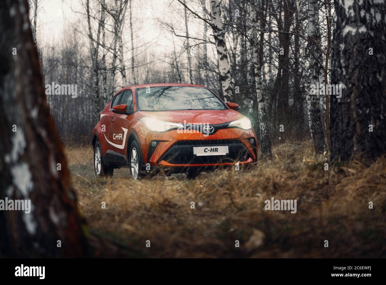 Brest, Weißrussland - 23. Feb 2020: Toyota C-HR 2019 auf Landstraße n Herbst Waldlandschaft. Stockfoto