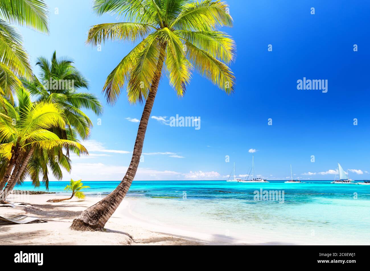 Kokospalmen am weißen Sandstrand in der Karibik, Insel Saona. Dominikanische Republik. Stockfoto