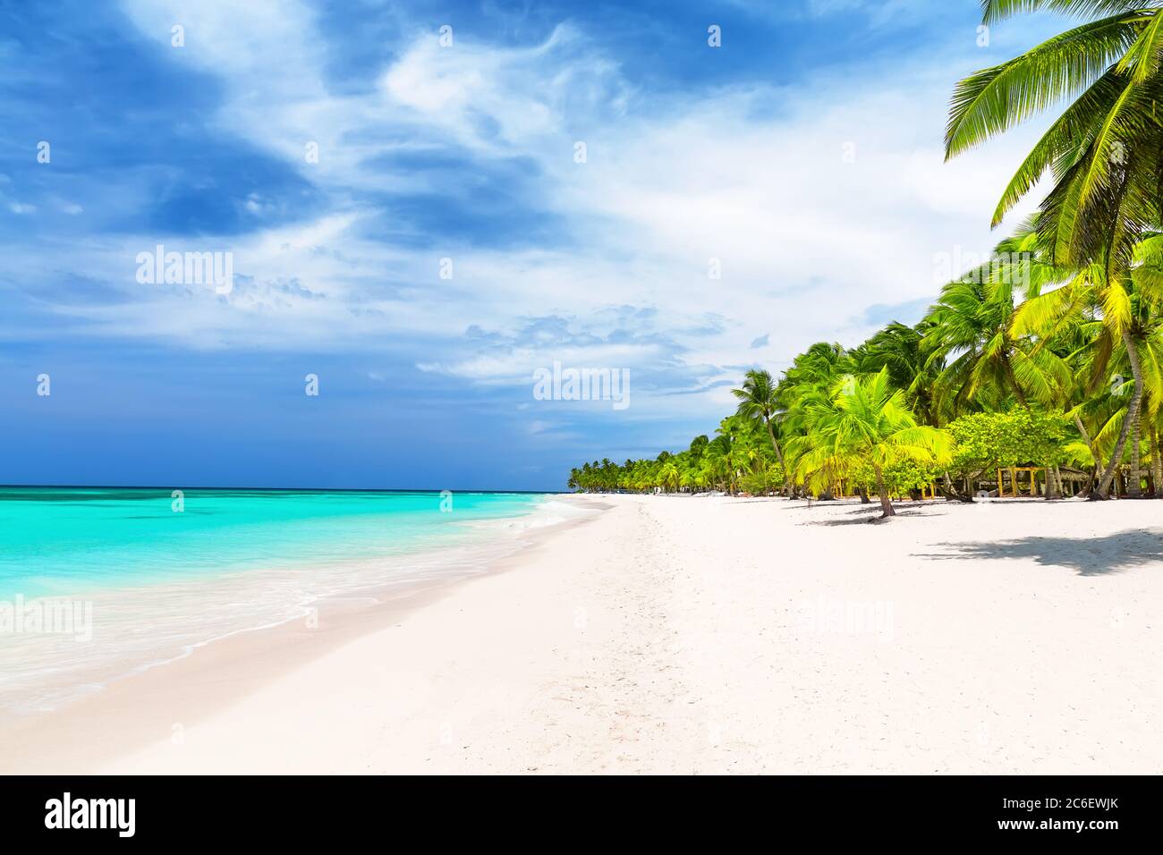 Kokospalmen am weißen Sandstrand in der Karibik, Insel Saona. Dominikanische Republik Stockfoto