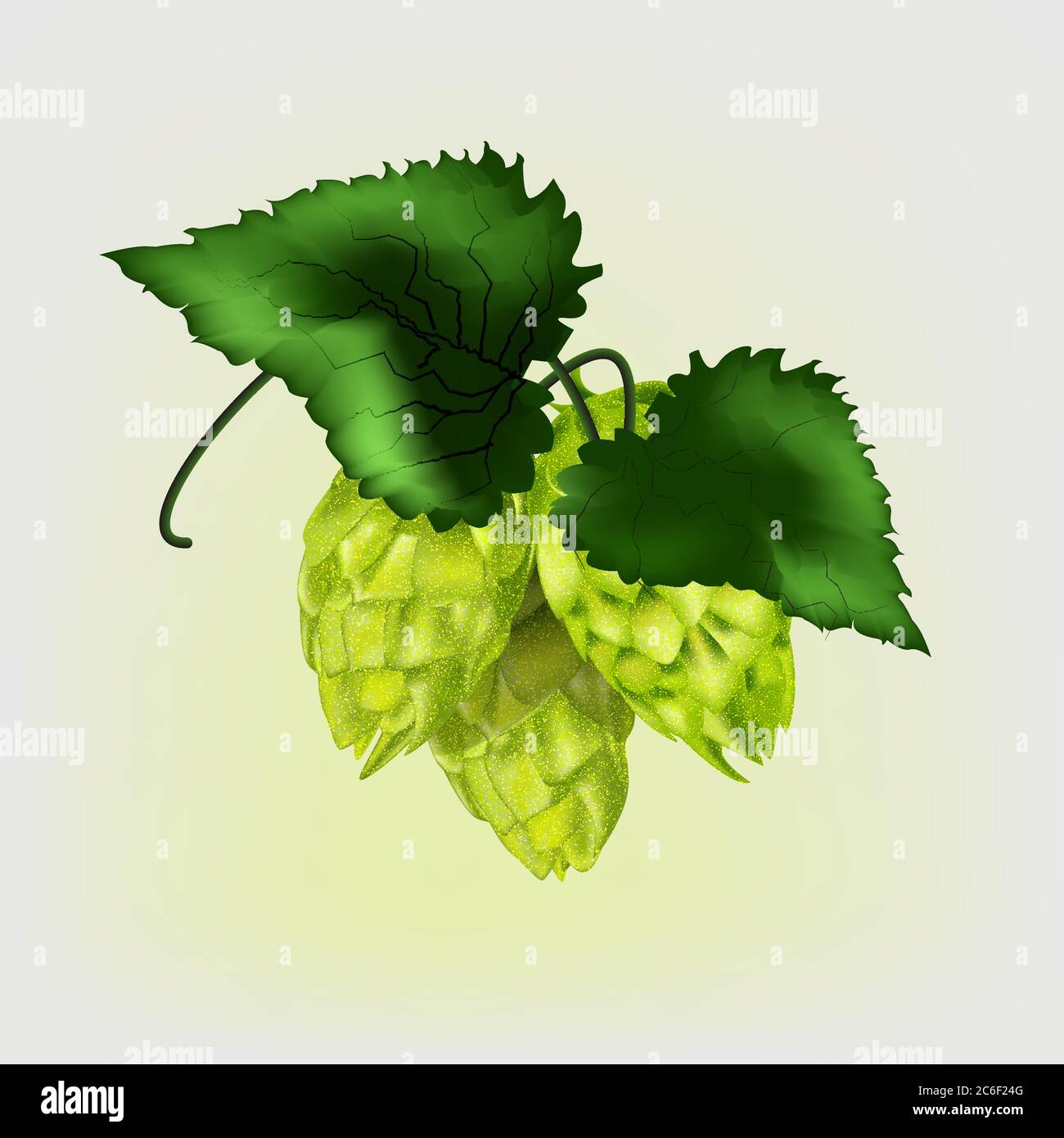 Realistische Hopfenzapfen mit grünen Blättern. Stock Vektor