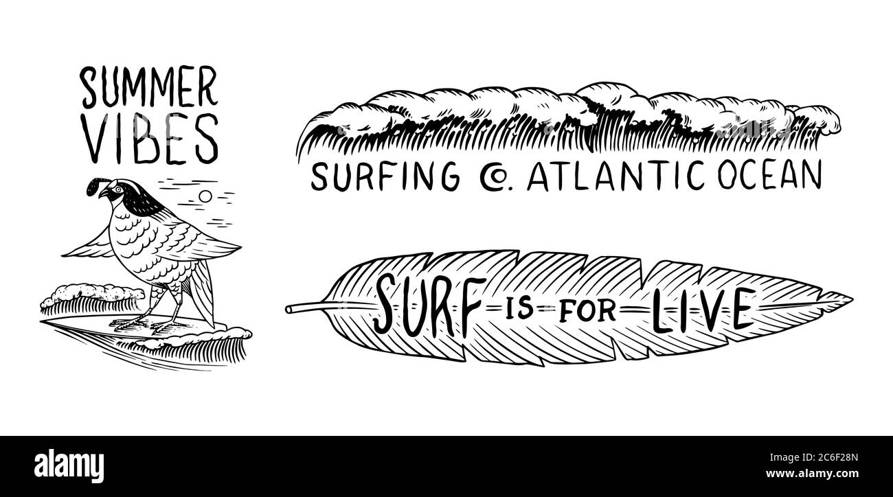 Surfabzeichen, Vintage Surfer Logo. Retro Wave und Vogel und tropische Blatt. Sommer Kalifornien. Emblem mit Gravur handgezeichnet. Banner oder Poster. Stock Vektor