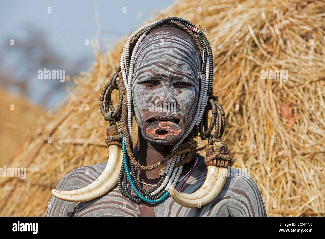 Bemalte Frau des Mursi-Stammes trägt Lippenstift und riesige Stoßzähne Ohrringe im Mago Nationalpark, Jinka, Debub Omo Zone, Süd-Äthiopien, Afrika Stockfoto