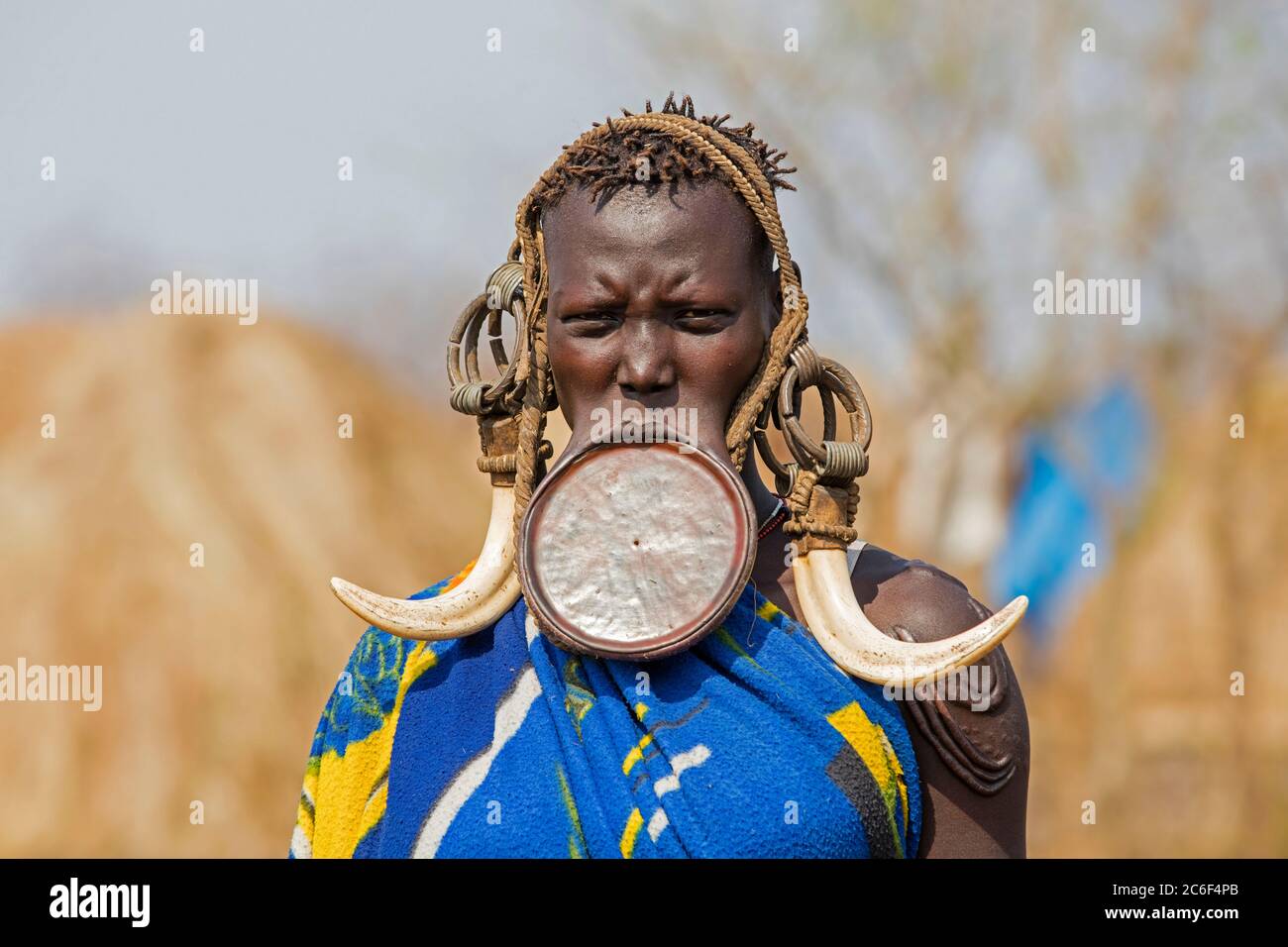 Schwarze Frau des Mursi-Stammes trägt Lippenstift und riesige Stoßzähne Ohrringe im Mago Nationalpark, Jinka, Debub Omo Zone, Süd-Äthiopien, Afrika Stockfoto