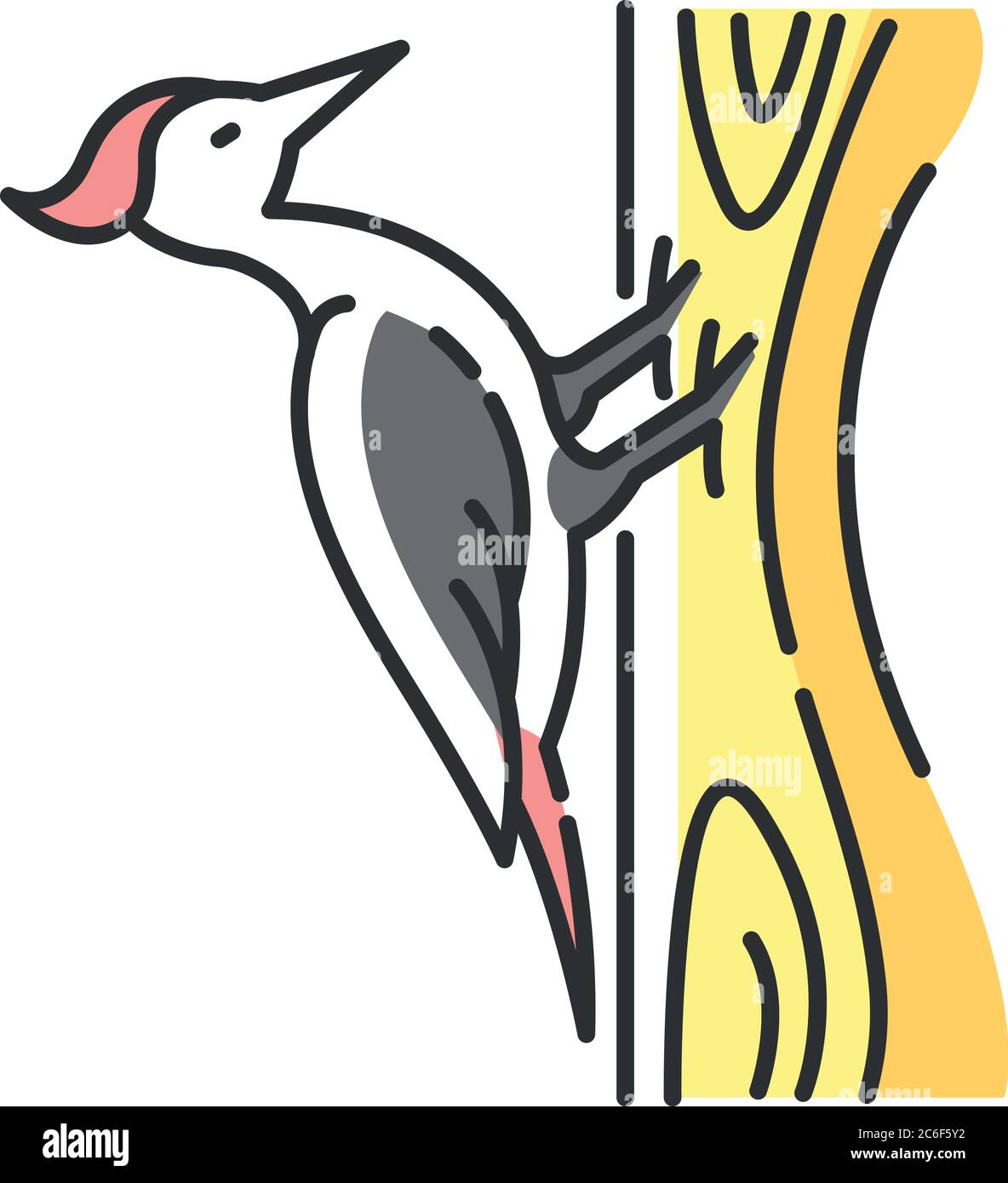 RGB-Farbsymbol für Specht. Gewöhnlicher Vogel, Waldbewohner, fliegende Waldkreatur. Zoologie, Ornithologie. Pecker auf Baum sitzen isoliert Vektor illu Stock Vektor